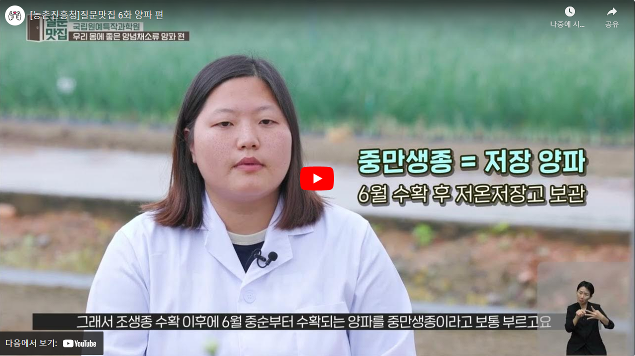 [농촌진흥청]질문맛집 6화 양파 편