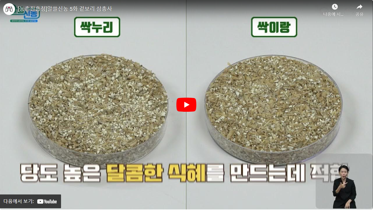 [농촌진흥청]알쓸신농 5화 겉보리 삼총사