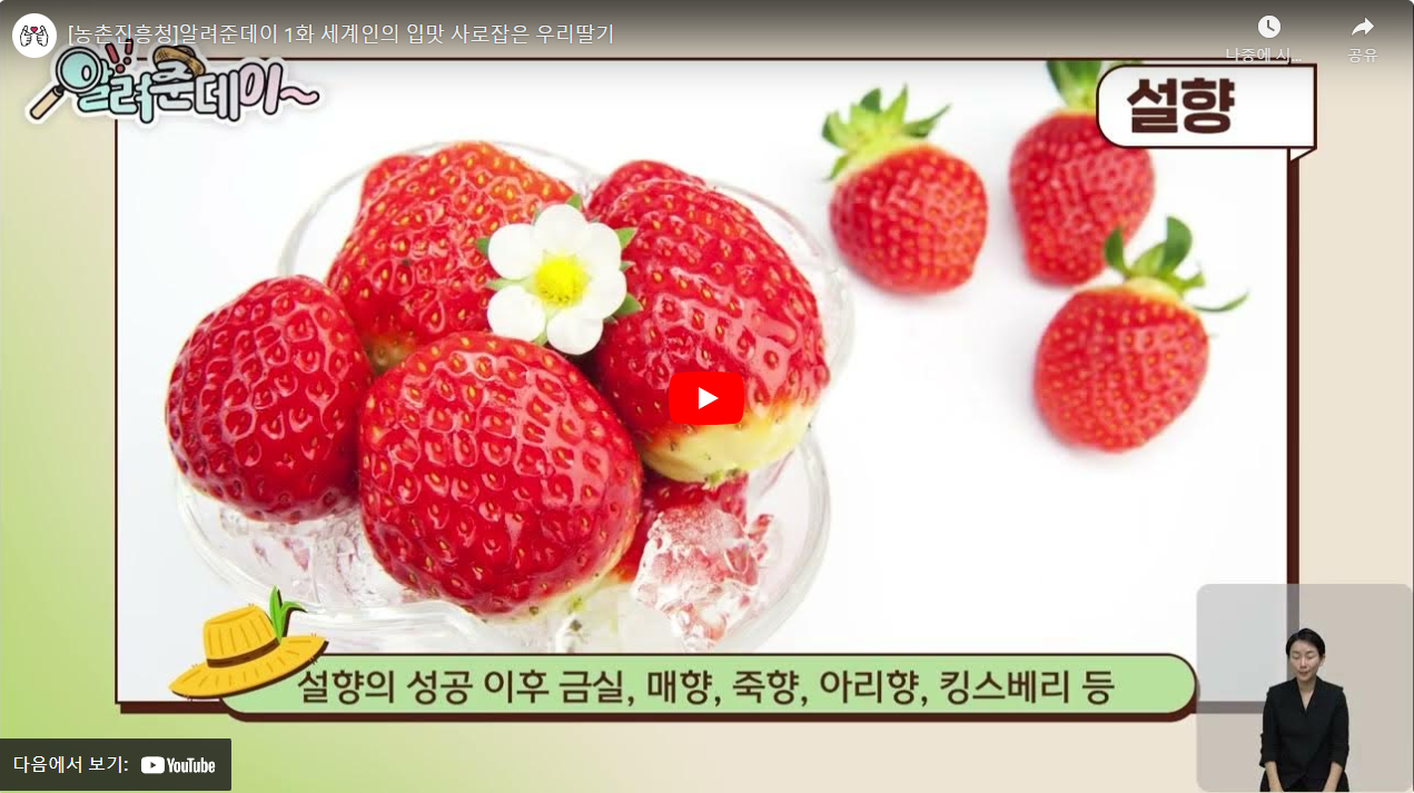 [농촌진흥청]알려준데이 1화 세계인의 입맛 사로잡은 우리딸기 썸네일