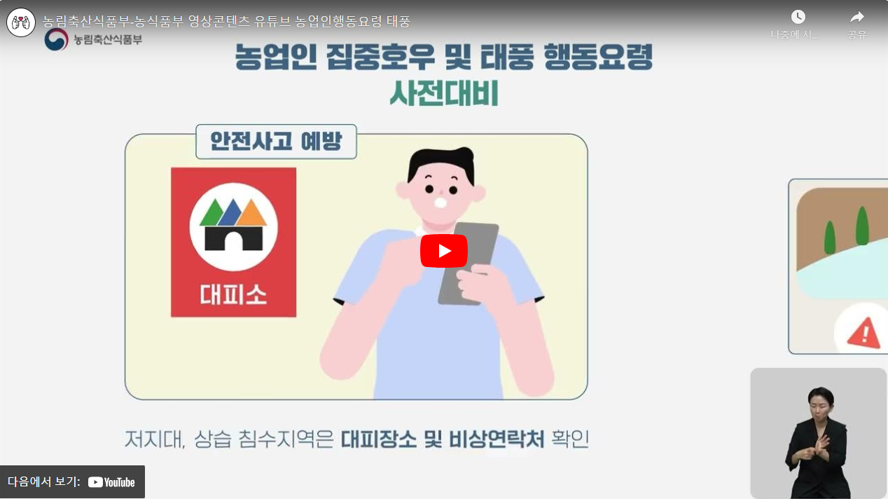 농림축산식품부-농식품부 영상콘텐츠 유튜브 농업인행동요령 태풍 썸네일