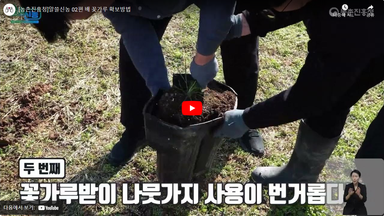 [농촌진흥청]알쓸신농 02편 배 꽃가루 확보방법 썸네일