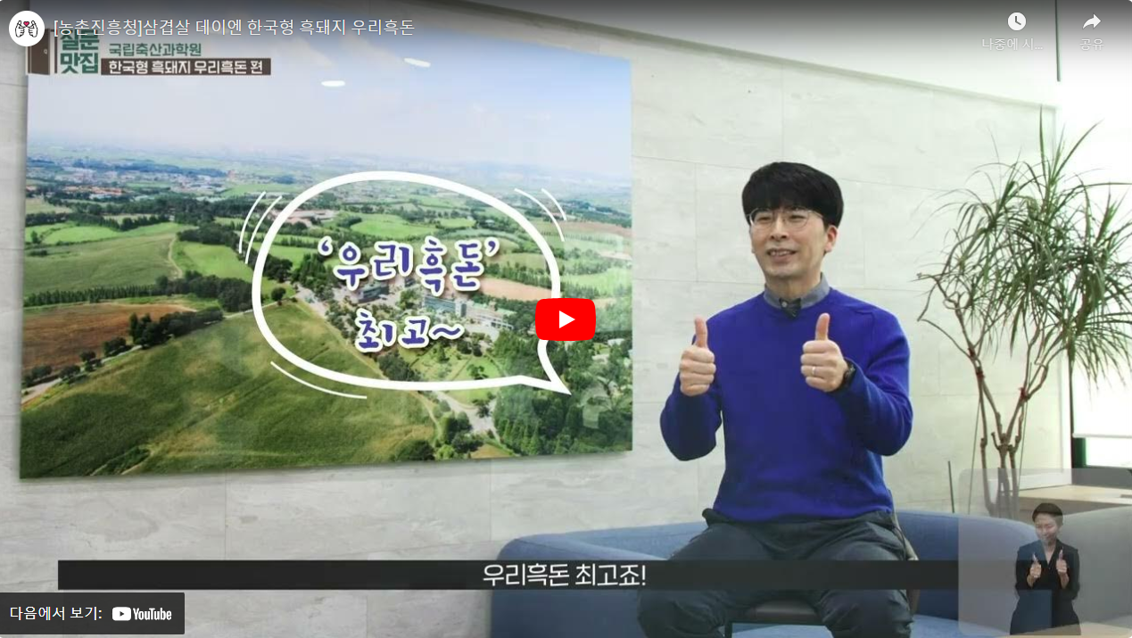 [농촌진흥청]삼겹살 데이엔 한국형 흑돼지 우리흑돈 썸네일