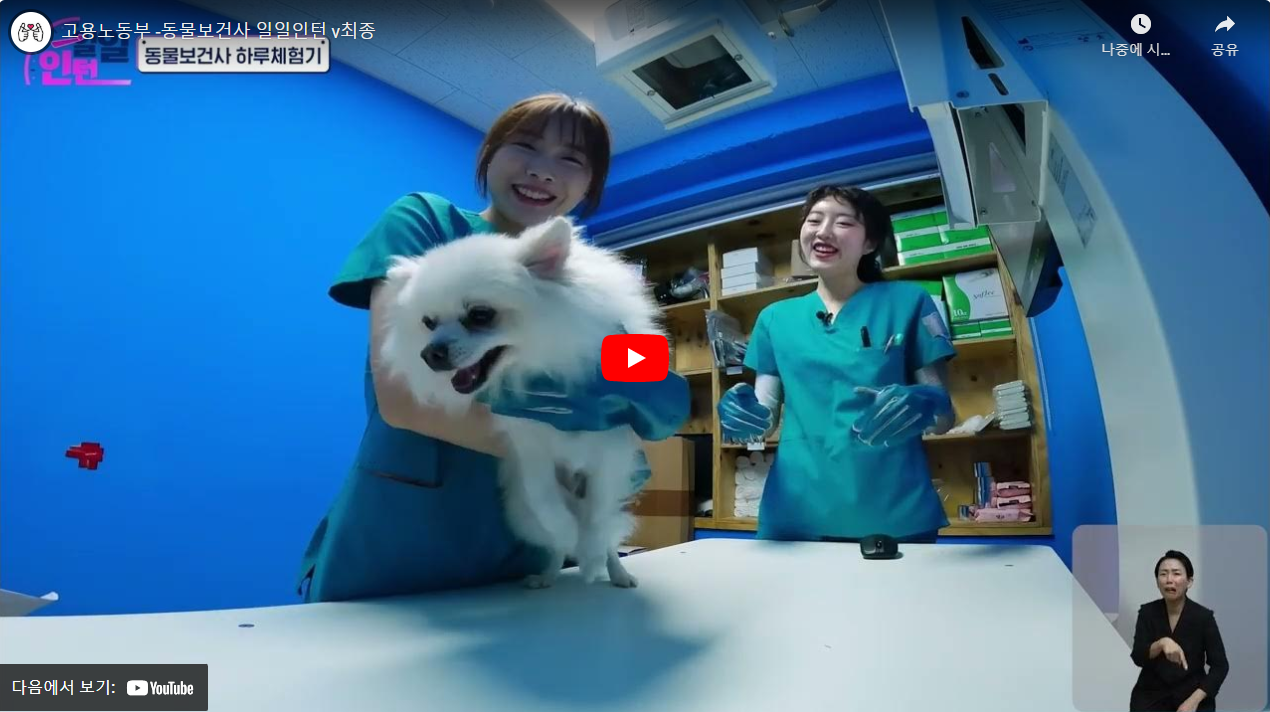 고용노동부 -동물보건사 일일인턴 썸네일