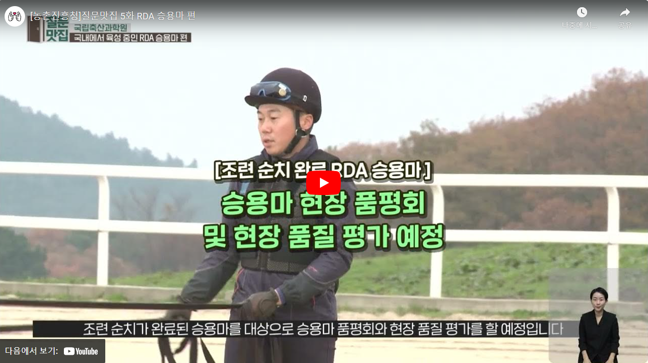 [농촌진흥청]질문맛집 5화 RDA 승용마 편 썸네일