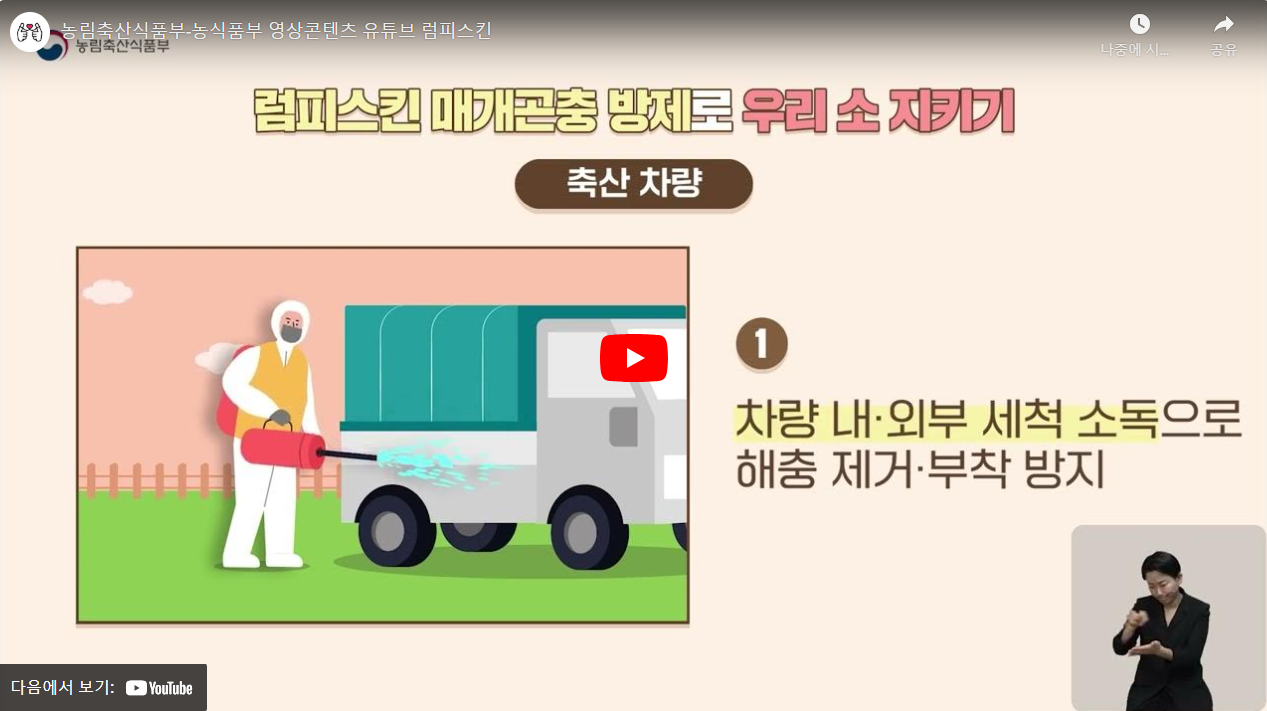 농림축산식품부-농식품부 영상콘텐츠 유튜브 럼피스킨 썸네일