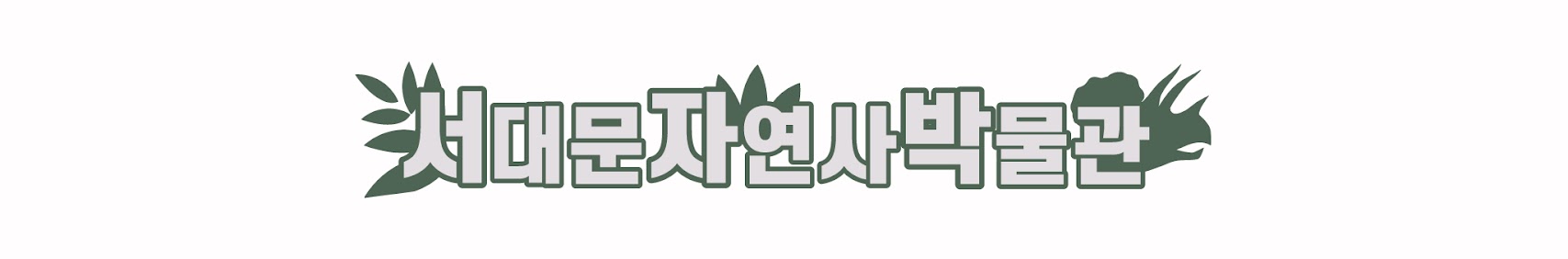 서대문자연사박물관