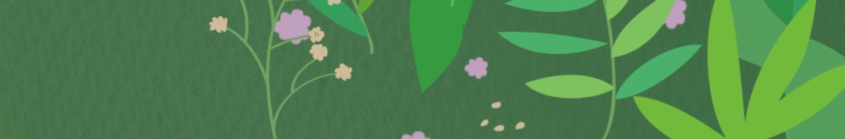 파주나비나라박물관