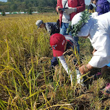 전라남도농업박물관