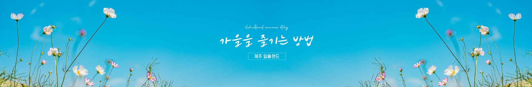 가을을 즐기는 방법 제주 일출랜드