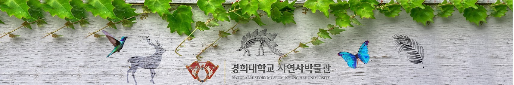 경희대학교 자연사박물관 NATURAL HISTORY MUSEUM, KYUNG HEE UNIVERSITY