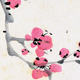 서울대학교박물관