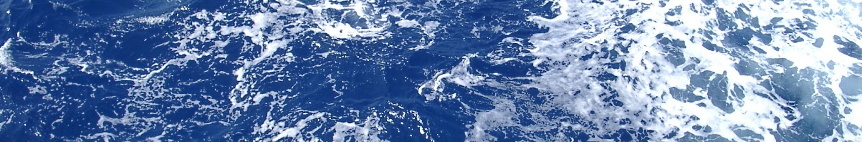 부산해양자연사박물관