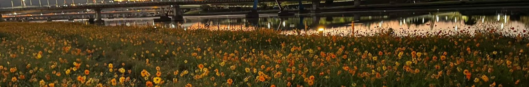 초연다구박물관